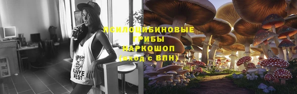 метадон Алексин