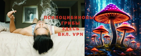 спиды Алексеевка