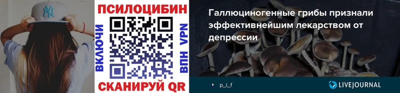 где можно купить Брянск Галлюциногенные грибы Cubensis